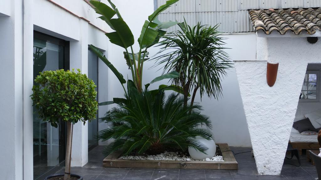 Hotel Salome Calafell